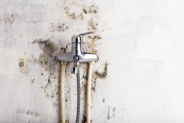 Mold Testing and Removal in Hydesville, CA