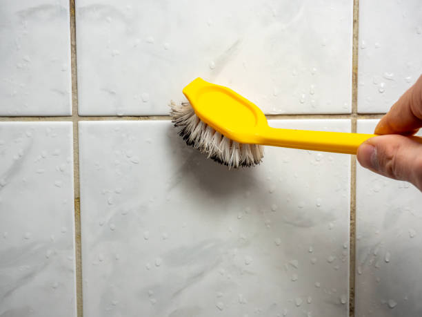 Best Professional Mold Removal  in Hydesville, CA
