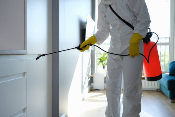 Best Emergency Mold Removal  in Hydesville, CA